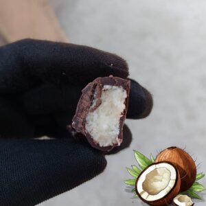 বাউন্টি চকলেট (বিগ সাইজ)